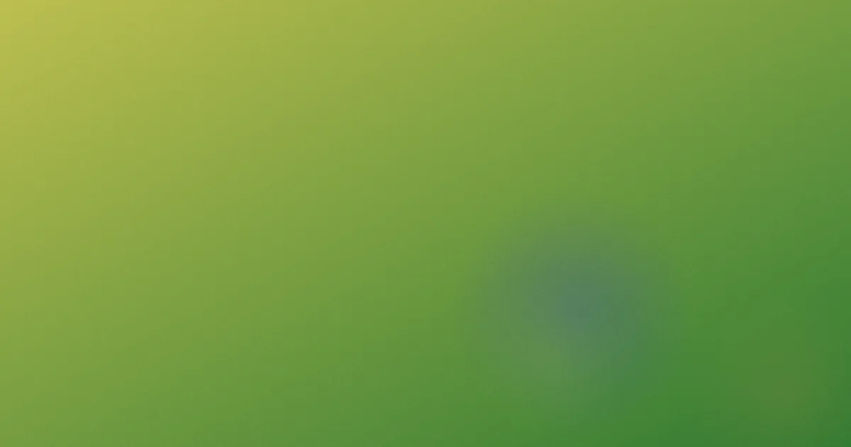 3d里番怎么选才不踩坑